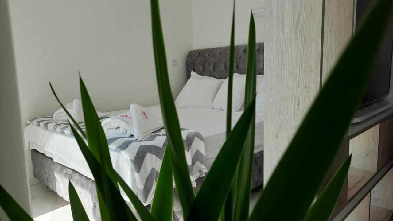 Luxury Apartment Iva 斯科普里 外观 照片